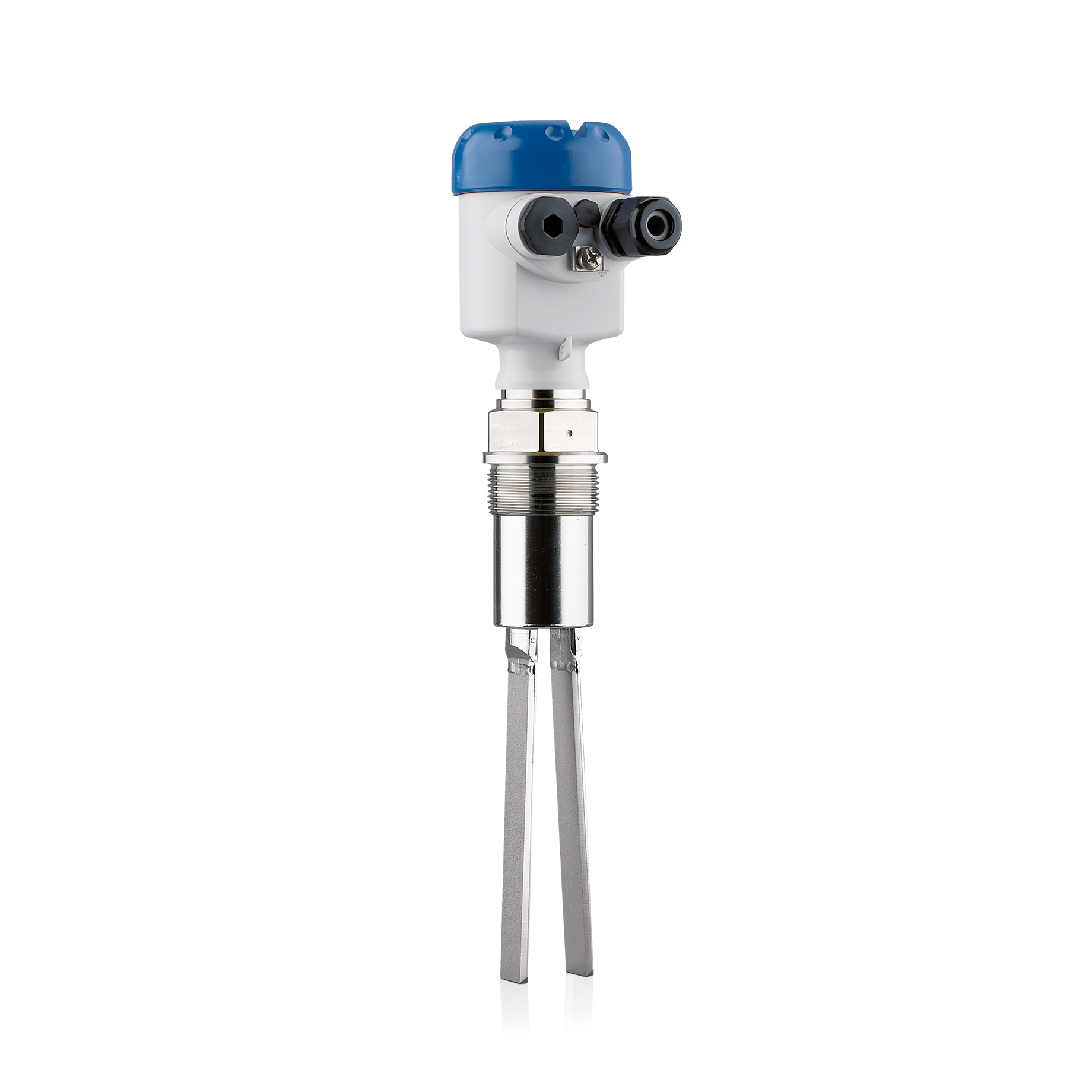 optiswitch 3100